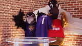 USA: Wawa c-stores parterns with Baltimore Ravens 