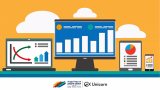 A digitized Project Management application for Petroleum RVI roll-outs
