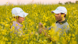 bp bets on sustainable biofuel by partnering up with Nuseed