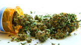 Marijuana coming to Circle K gas stations in Florida