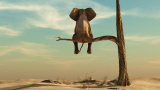 It’s crazy out there! How hyper-automation can help you succeed in an ever-changing world
