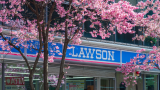 Lawson unveils small supermarket format in Tokyo 