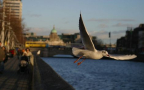 Ireland to phase out fossil fuel by end of century