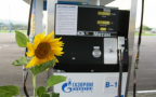 Gazprom and LUKOIL eye CNG dispensers at petrol stations