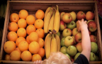 UK: Over 800 Tesco stores offer kids free fruits
