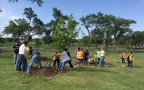 USA: ALON 7-Eleven sees benefits of going green in South