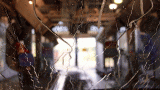 USA: Zips Car Wash acquires six new locations 