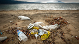 New Zealand’s Z Energy commits to a future without plastic bags 