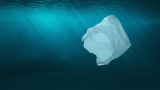 New Zealand: Z Energy puts a stop to plastic bags at service stations 