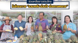 Pineapple farmers may sell their produce at PTT stations in Thailand