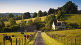 UK: Petroleum suppliers call on Government to invest in carbon neutral liquid fuel