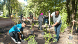 7-Eleven’s RENEW reduced emissions program plants 100,000 trees 