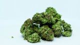 Gas station with medical marijuana c-store opened in Portland