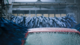 Magnolia Wash acquires 16 locations in the Southeastern US
