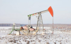 Rosneft partners with Russian republic to improve fuel services